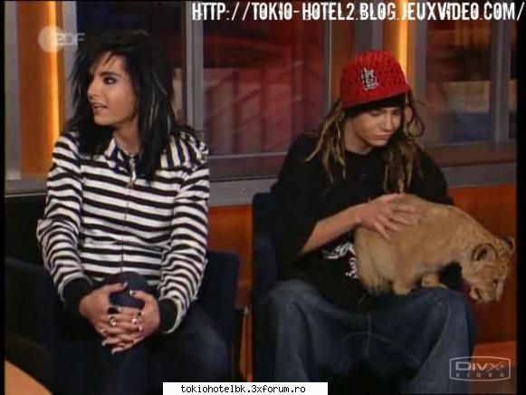 poze kaulitzii vleau pui leu