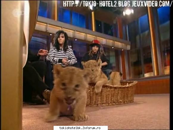 poze cu kaulitzii - Lil'Nyappy - kaulitz twins